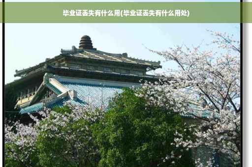 毕业证丢失有什么用(毕业证丢失有什么用处)