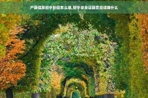 户籍信息初中阶段怎么填,初中毕业证籍贯应该填什么