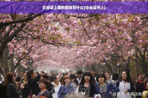 毕业证上面的部填写什么(毕业证书上)