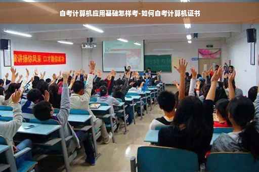 自考计算机应用基础怎样考-如何自考计算机证书