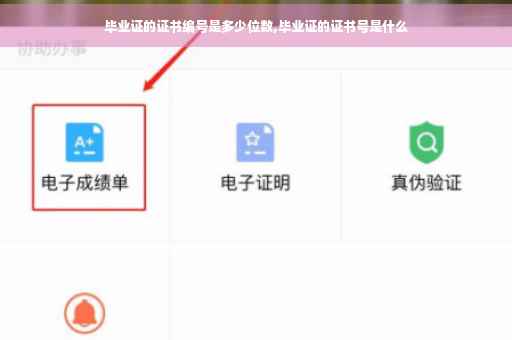 毕业证的证书编号是多少位数,毕业证的证书号是什么