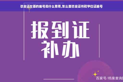 毕业证左面的编号是什么意思,怎么查毕业证书和学位证编号