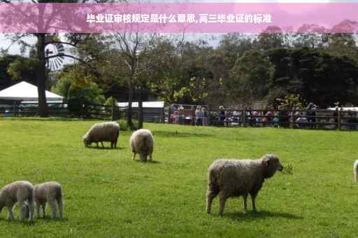 毕业证审核规定是什么意思,高三毕业证的标准