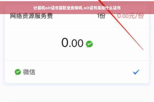 计算机nit证书算职业资格吗,nit证书是指什么证书