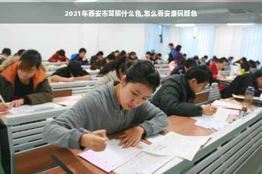 2021年西安市驾照什么色,怎么看安康码颜色