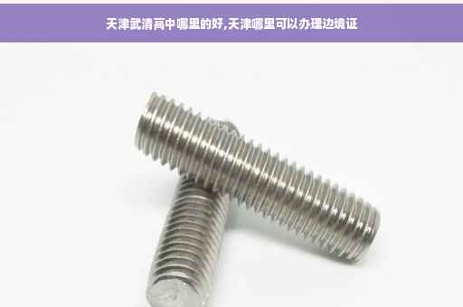 天津武清高中哪里的好,天津哪里可以办理边境证