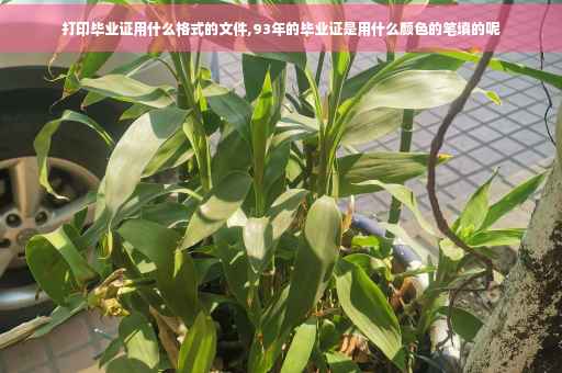 打印毕业证用什么格式的文件,93年的毕业证是用什么颜色的笔填的呢