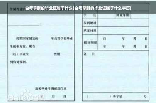 自考拿到的毕业证属于什么(自考拿到的毕业证属于什么学历)