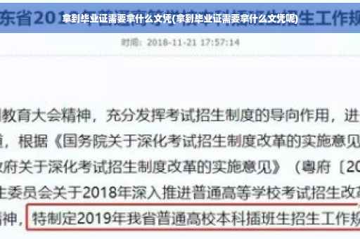 拿到毕业证需要拿什么文凭(拿到毕业证需要拿什么文凭呢)