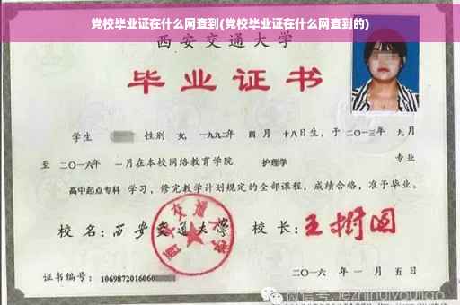 党校毕业证在什么网查到(党校毕业证在什么网查到的)