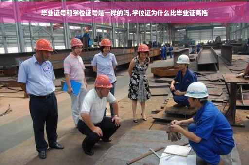 毕业证号和学位证号是一样的吗,学位证为什么比毕业证高档