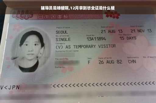 辅导员是啥梗啊,12月拿到毕业证是什么梗 辅导员是啥梗啊,12月拿到毕业证是什么梗