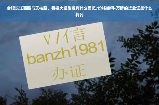 合肥长江西路与天柱路、香樟大道附近有什么网吧?价格如何-万博的毕业证是什么样的