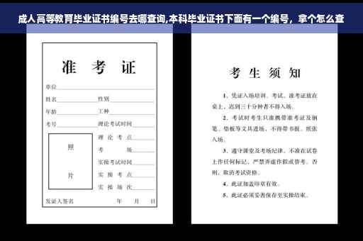 成人高等教育毕业证书编号去哪查询,本科毕业证书下面有一个编号，拿个怎么查