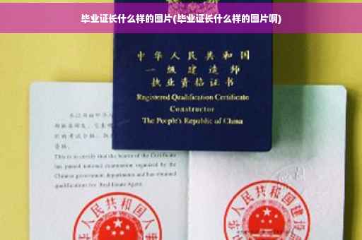 毕业证长什么样的图片(毕业证长什么样的图片啊)