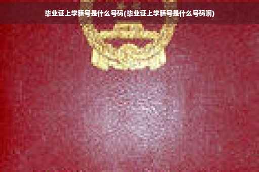 毕业证上学籍号是什么号码(毕业证上学籍号是什么号码啊)