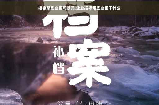 挂靠拿毕业证可以吗,企业投标用毕业证干什么
