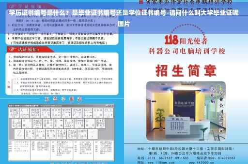 学历证书编号是什么？是毕业证书编号还是学位证书编号-请问什么叫大学毕业证呢图片