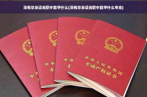 没有毕业证去职中能学什么(没有毕业证去职中能学什么专业)