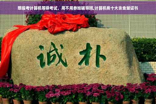 想报考计算机等级考试，用不用参加辅导班,计算机类十大含金量证书