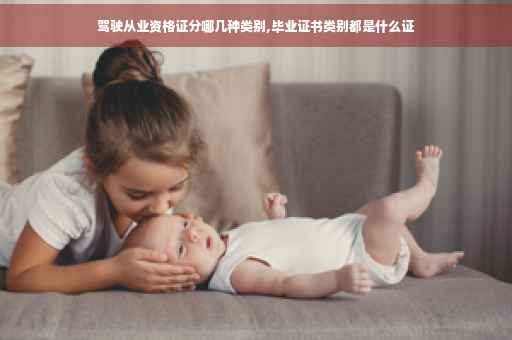 驾驶从业资格证分哪几种类别,毕业证书类别都是什么证