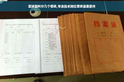 篮球裁判分几个等级,专业技术岗位晋级需要条件