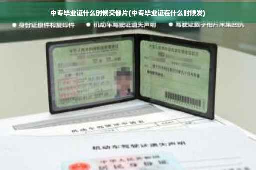 中专毕业证什么时候交像片(中专毕业证在什么时候发)