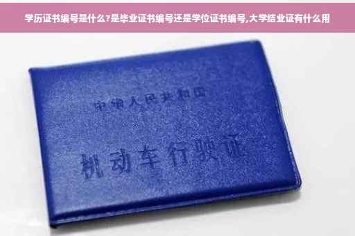 学历证书编号是什么?是毕业证书编号还是学位证书编号,大学结业证有什么用