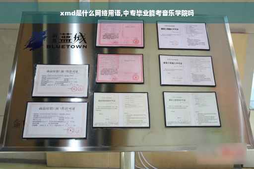xmd是什么网络用语,中专毕业能考音乐学院吗