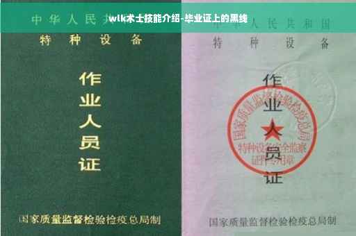 wlk术士技能介绍-毕业证上的黑线