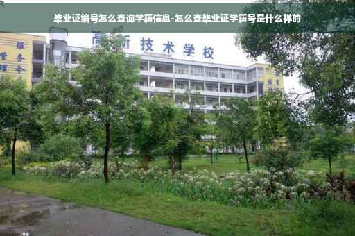 毕业证编号怎么查询学籍信息-怎么查毕业证学籍号是什么样的