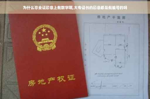 为什么毕业证印章上有数字呢,大专证书的印章都是有编号的吗