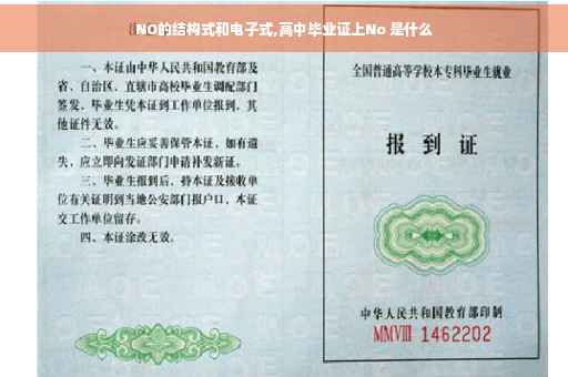 NO的结构式和电子式,高中毕业证上No 是什么