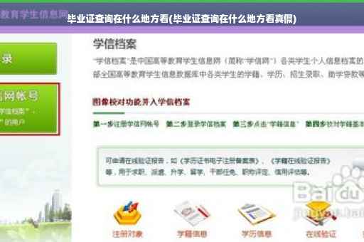 毕业证查询在什么地方看(毕业证查询在什么地方看真假)