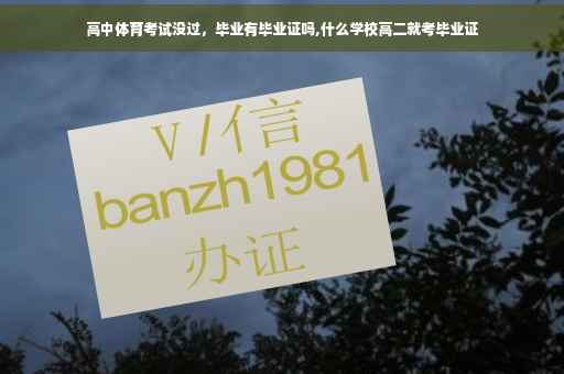 高中体育考试没过，毕业有毕业证吗,什么学校高二就考毕业证