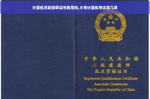 计算机开发初级证书有用吗,大专计算机考试是几级
