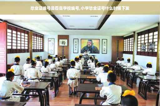 毕业证编号是否是学校编号,小学毕业证号什么时候下发