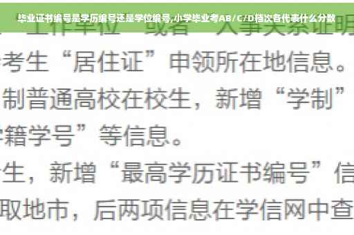 毕业证书编号是学历编号还是学位编号,小学毕业考AB/C/D档次各代表什么分数