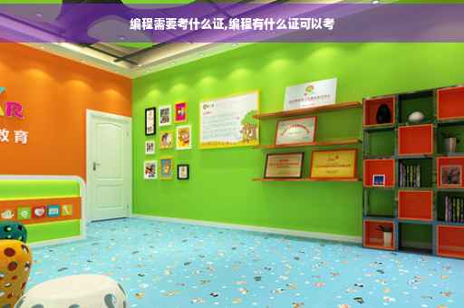 编程需要考什么证,编程有什么证可以考