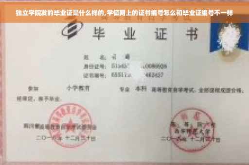 独立学院发的毕业证是什么样的,学信网上的证书编号怎么和毕业证编号不一样