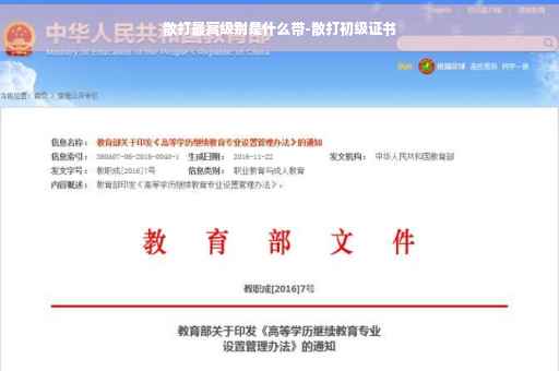 散打最高级别是什么带-散打初级证书