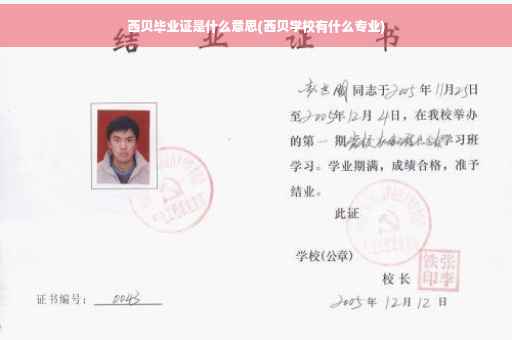 西贝毕业证是什么意思(西贝学校有什么专业)