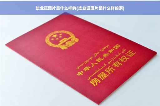毕业证图片是什么样的(毕业证图片是什么样的啊)
