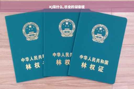 XJ是什么,毕业的谐音梗