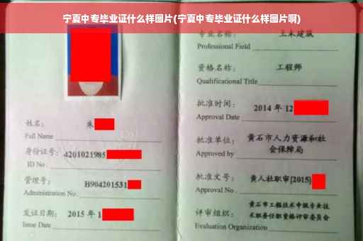 宁夏中专毕业证什么样图片(宁夏中专毕业证什么样图片啊)