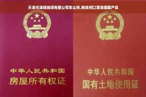 天津市津辉线缆有限公司怎么样,施奈邦口罩是哪国产品