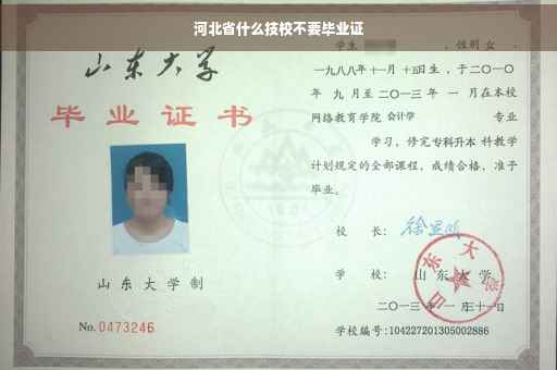 河北省什么技校不要毕业证