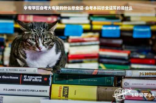 中专学历自考大专发的什么毕业证-自考本科毕业证写的是什么