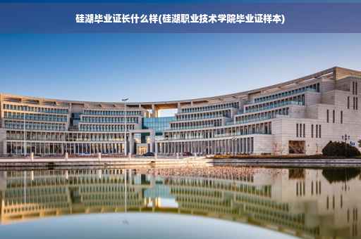 硅湖毕业证长什么样(硅湖职业技术学院毕业证样本)