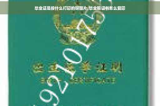毕业证是按什么打印的呀图片,毕业照证书怎么复印